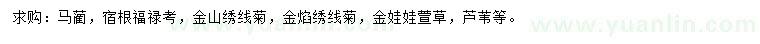 求购马蔺、福禄考、金山绣线菊等