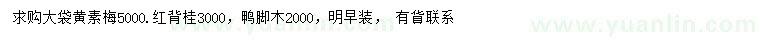 求购黄素梅、红背桂、鸭脚木