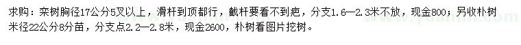 求购胸径17公分栾树、米径22公分朴树