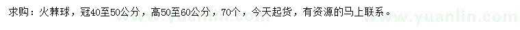 求购冠40-50公分火棘球