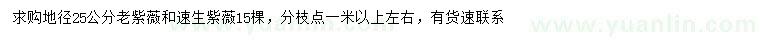 求购地径25公分老紫薇、速生紫薇