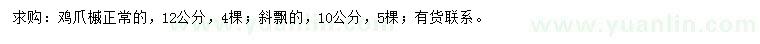 求购10、12公分鸡爪槭