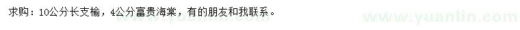 求购10公分长枝榆、4公分富贵海棠