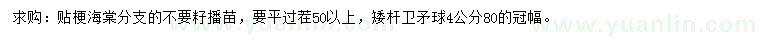 求购50公分以上贴梗海棠、冠80公分卫矛球