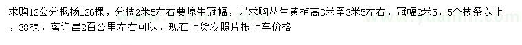 求购12公分枫杨、高3-3.5米丛生黄栌