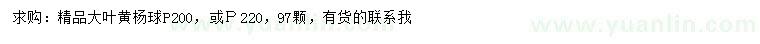 求购冠200、220公分大叶黄杨球