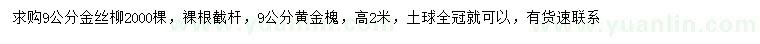 求购9公分金丝柳、黄金槐