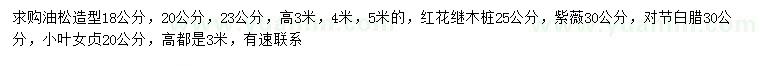 求购造型油松、红花继木、紫薇等