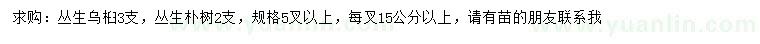 求购丛生乌桕、丛生朴树