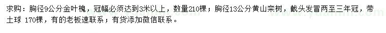 求购胸径9公分金叶槐、胸径13公分黄山栾树