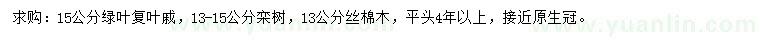 求购绿叶复叶槭、栾树、丝棉木