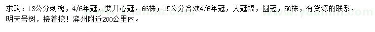 求购13公分刺槐、15公分合欢