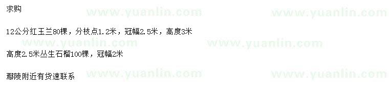 求购12公分红玉兰、高2.5米丛生石榴