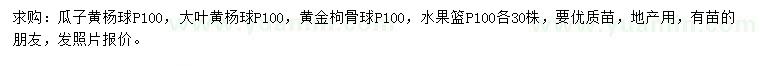 求购瓜子黄杨球、大叶黄杨球、黄金枸骨球等