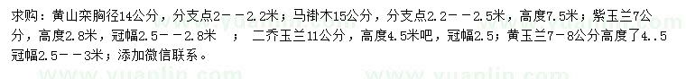 求购黄山栾、马褂木、紫玉兰等