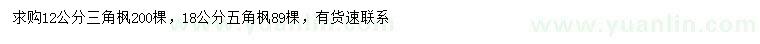 求购12公分三角枫、18公分五角枫