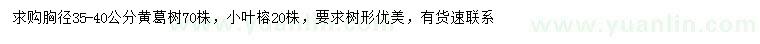 求购胸径35-40公分黄葛树、小叶榕