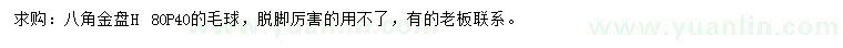 求购冠40公分八角金盘球