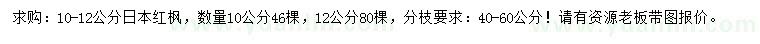 求购10、12公分日本红枫