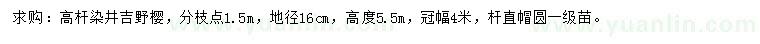 求购地径16公分高杆染井吉野樱