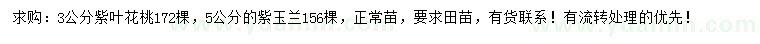 求购3公分紫叶花桃、5公分紫玉兰