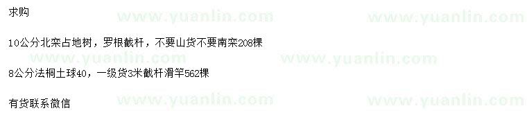 求购10公分北栾、8公分法桐