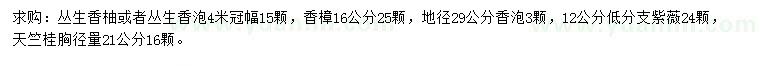 求购丛生香柚、丛生香泡、香樟等