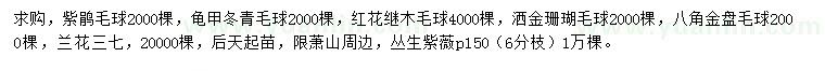 求购紫鹃球、龟甲冬青球、红花继木球等