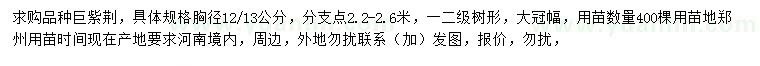 求购胸径12、13公分巨紫荆