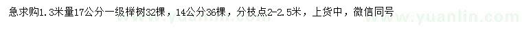 求购1.3米量14、17公分榉树