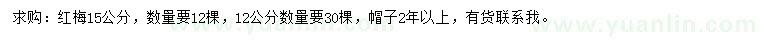 求购12、15公分红梅