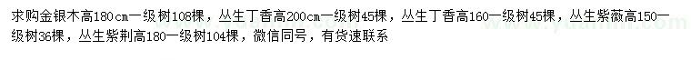 求购金银木、丛生丁香、丛生紫薇等