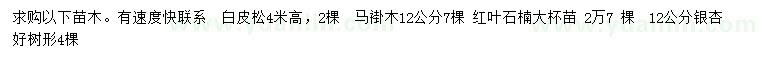 求购白皮松、马褂木、红叶石楠等