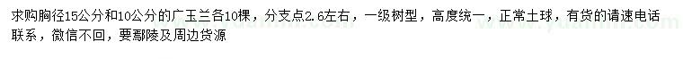 求购胸径10、15公分广玉兰