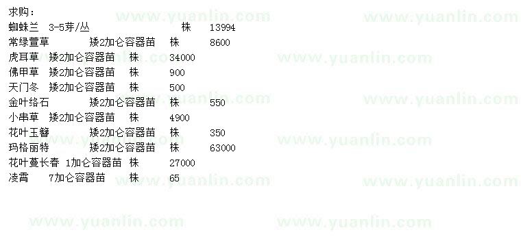 求购常绿萱草、虎耳草、玛格丽特等