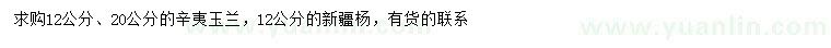 求购辛夷、玉兰、新疆杨