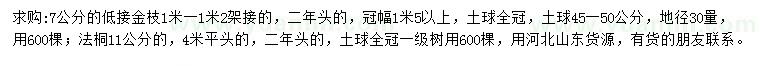 求购7公分金枝、11公分法桐