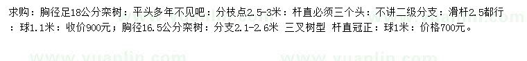 求购胸径16.5、18公分栾树