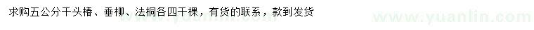 求购千头椿、垂柳、法桐