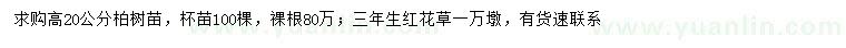 求购高20公分柏树、三年生红花草