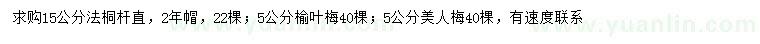 求购法桐、榆叶梅、美人梅