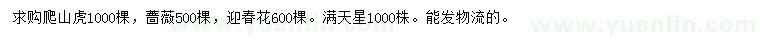 求购爬山虎、蔷薇、迎春花等