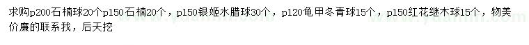 求购石楠球、银姬水蜡球、龟甲冬青球等