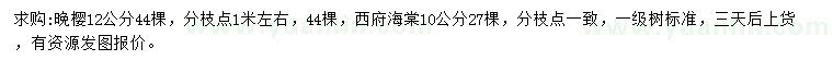 求购12公分晚樱、10公分西府海棠