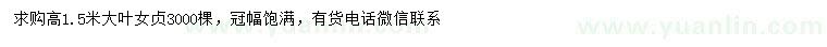 求购高1.5米大叶女贞
