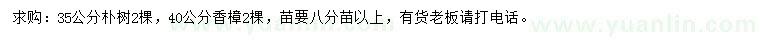 求购35公分朴树、40公分香樟