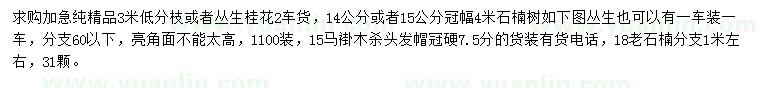 求购丛生桂花、石楠、马褂木等