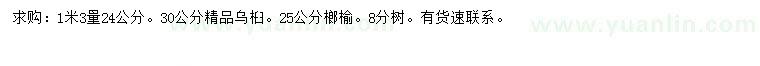 求购1.3米量24、30公分乌桕、25公分榔榆