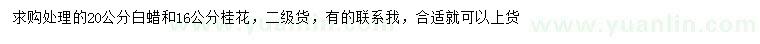 求购20公分白蜡、16公分桂花