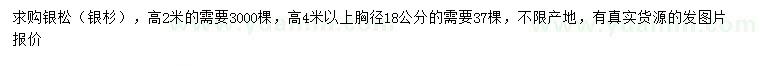 求购高2、4米银松、银杉